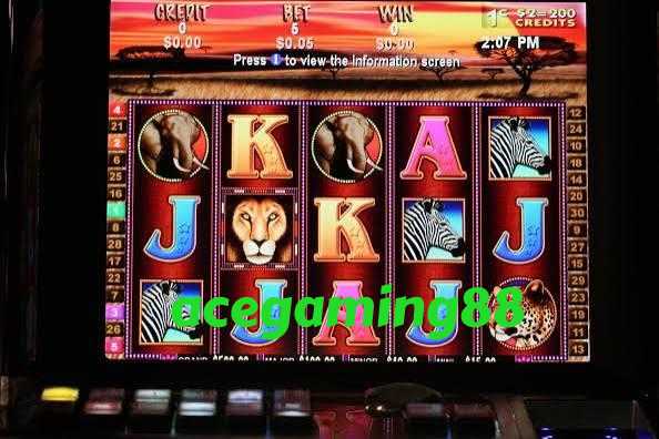 acegaming88 Slot Rooms Built for Your Lobby